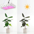 led Grow Light Plant Lamp 1000W with Full Spectrum Growing Lamps for Indoor Plants Greenhouse Garden Flower Fruit Double Switch